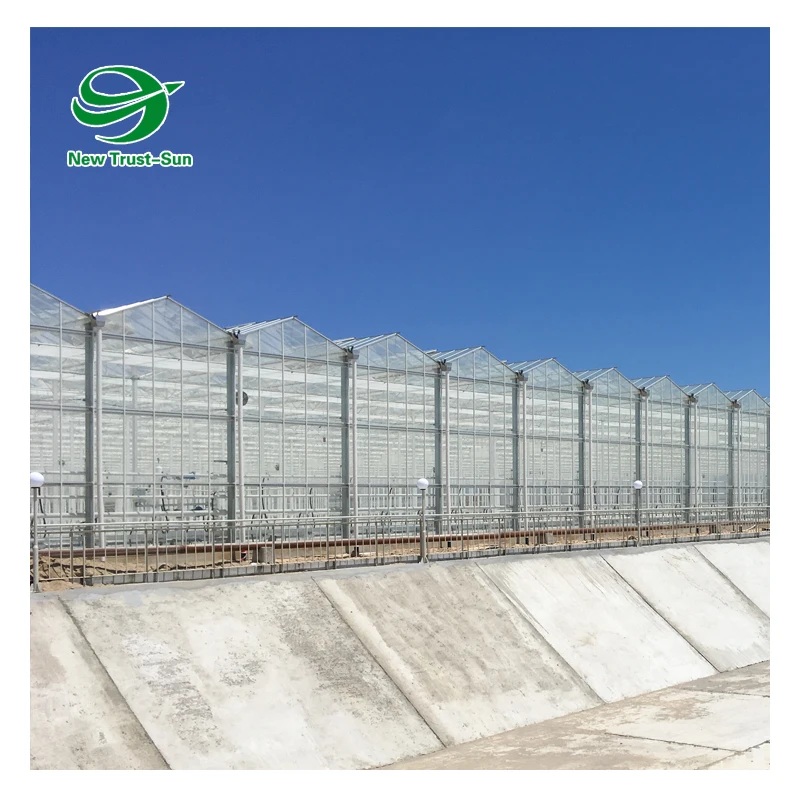 
High quality polycarbonate sheet tropical greenhouse for tomato cultivation 
