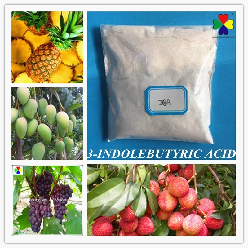China supply promote root growth auxin iba indole 3 butyric acid 98%tc for sale