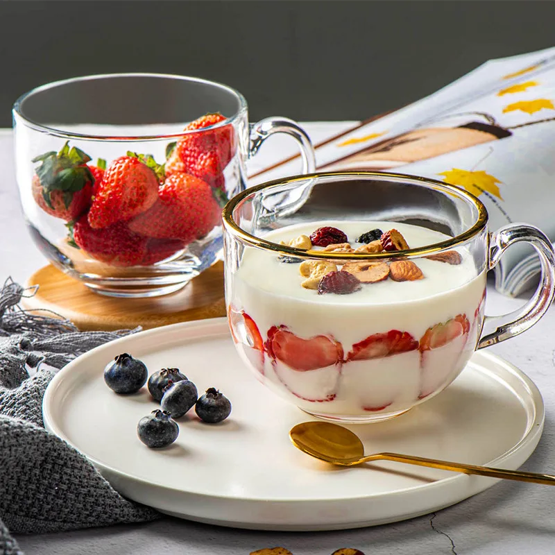 480ml Clear Reusable Milk Coffee Mug with Handle Hot and iced coffee tumbler glass