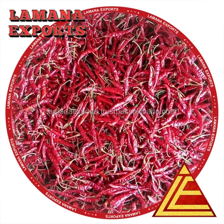 Guntur Dry Red Chilli S17 Teja with Stem Indian Chilli Premium Quality for Thailand