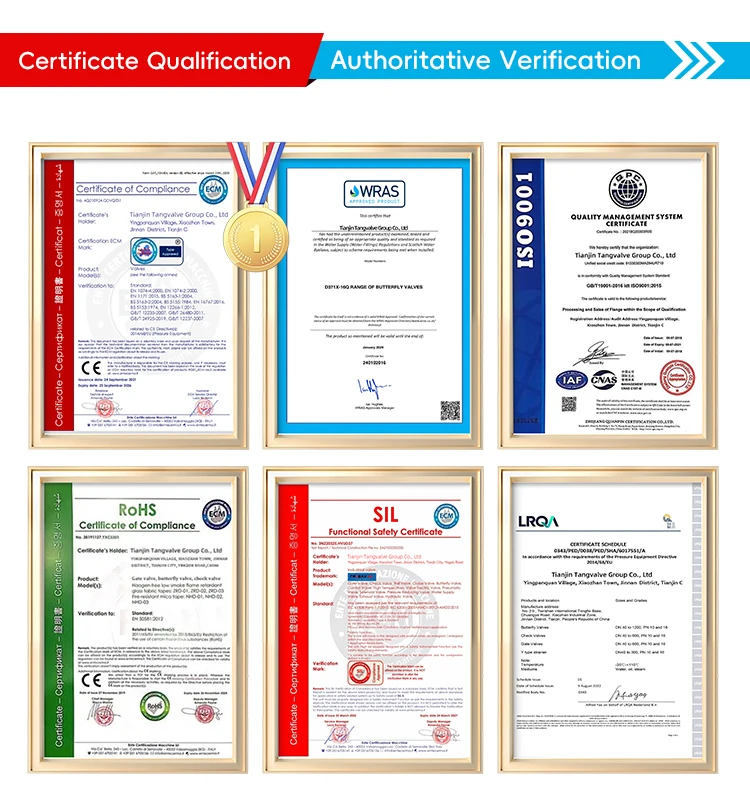 TF ANSI 150LB 304 316 Stainless Steel JIS Pn16 Cast Iron High Temperature Worm Wheel Manual Soft Seal Flanged Butterfly Valve