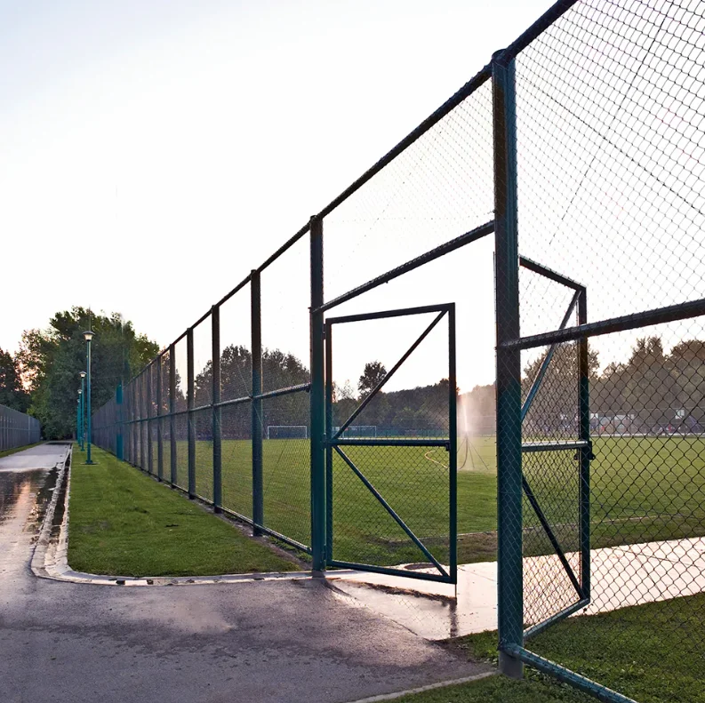low price 8 foot pvc diamond wire mesh garden fence