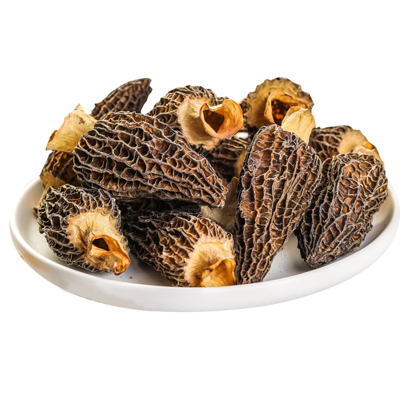 Mountain mushroom fresh morels dried morels high quality fungus delicious material with nice taste