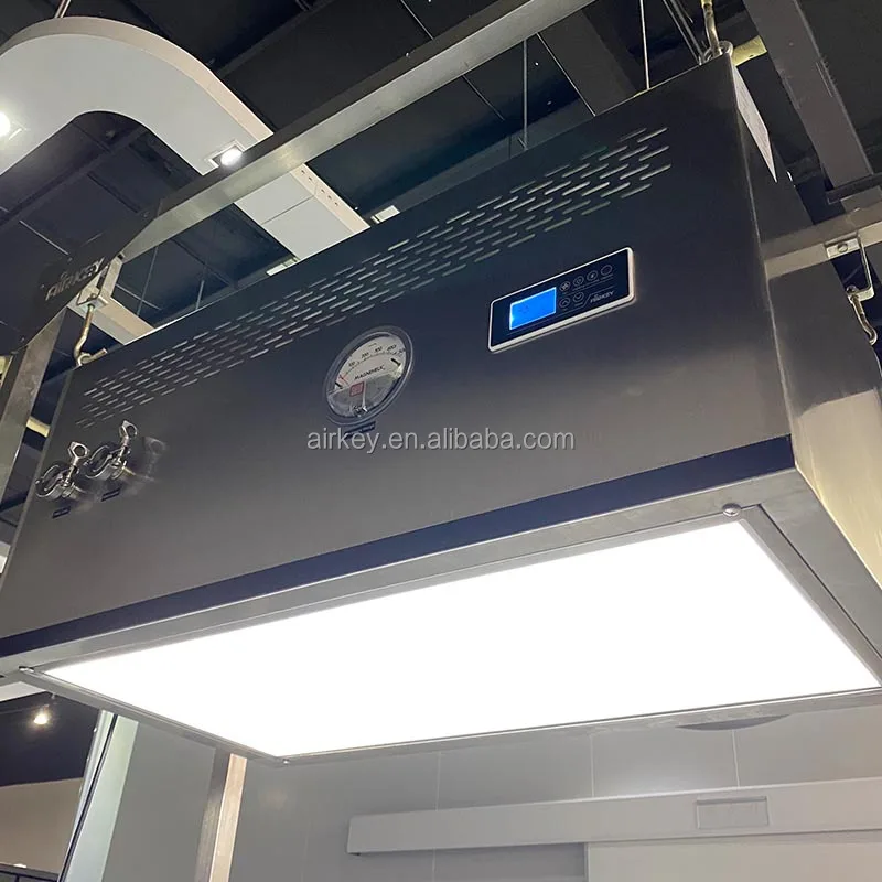 LAF Class 100 Cleanliness Laminar Air Flow Bench with PVC Strip Curtain