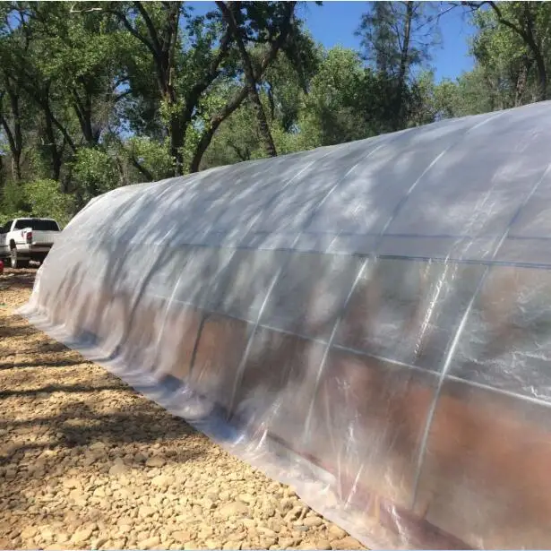Heavy Duty Clear Greenhouse Grow Cover Plastic Transparent PE Waterproof Tarpaulin Cloth
