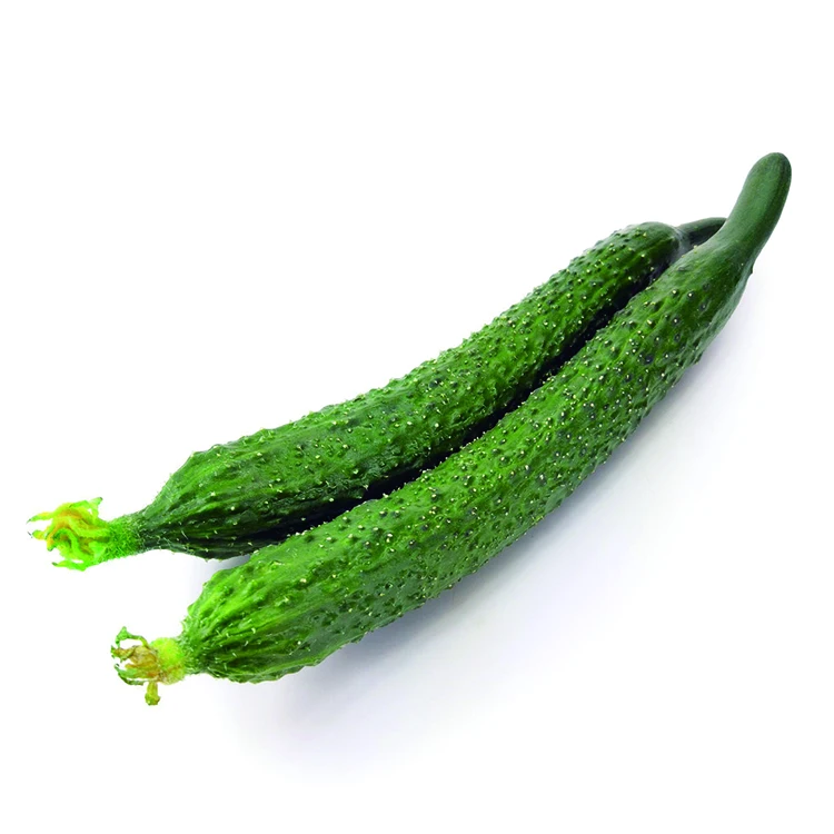 
long cucumber 