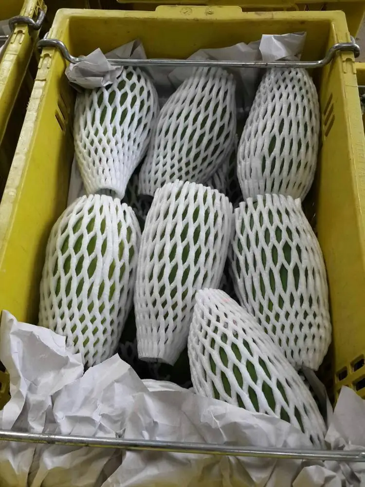 Fresh Papaya (Thailand Origin)