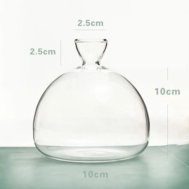 Round Clear Glass Tabletop Avocado Seed Starter Planter Hydroponic Plant Home Decor Vase Propagation Vase For Home