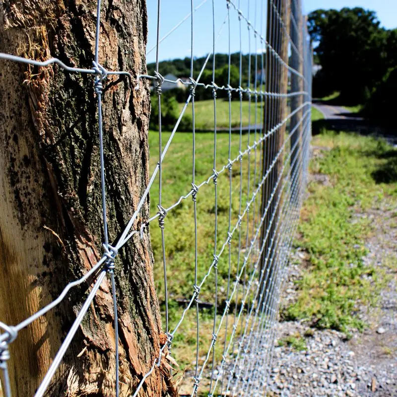 Heavy-Duty Galvanized Metal Fixed Knot Woven Fencing Wire Hog Wire Farm Field Fence for Livestock Metal Mesh Fencing Wire
