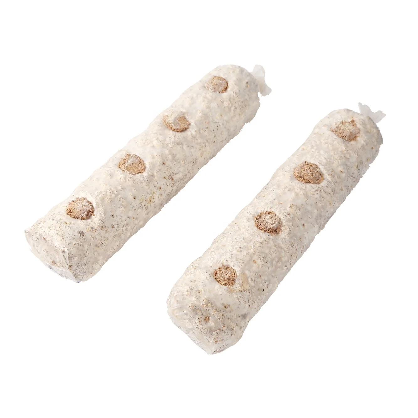 Organic Cultivated Exotic Shiitake Mushroom Champignon Fungus Hongo Pilz Substrates Spawn Log Approved Certified