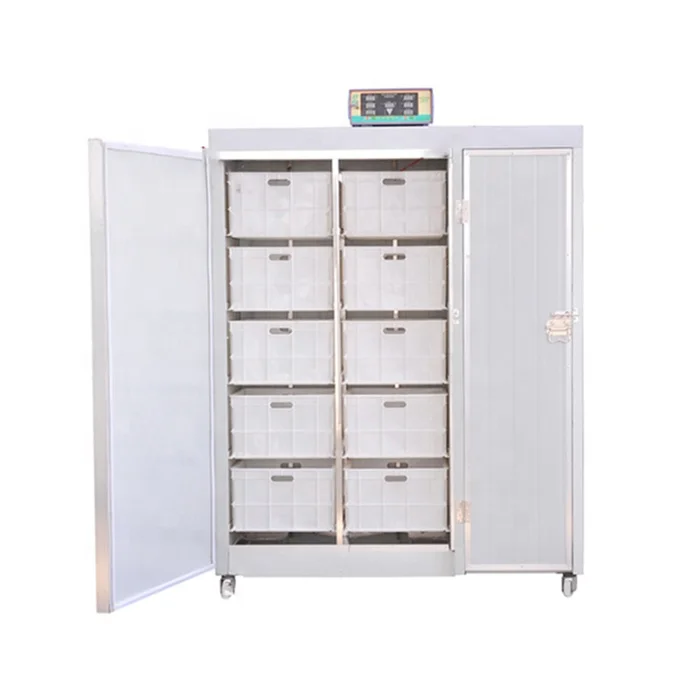 High quality best selling mung bean sprout machinery