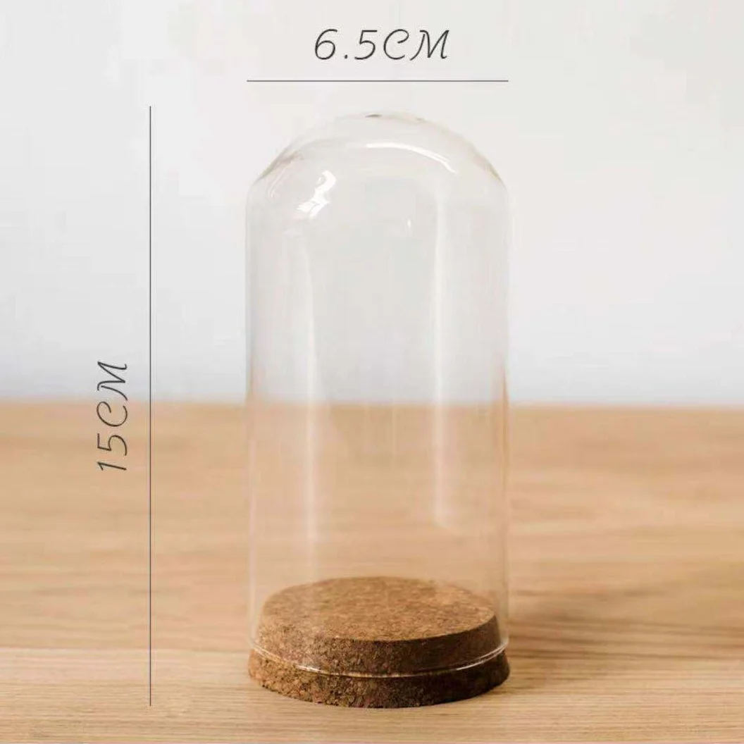 Wholesale Handmade Clear Transparent High Borosilicate Flower Glass Dome with Wooden Base