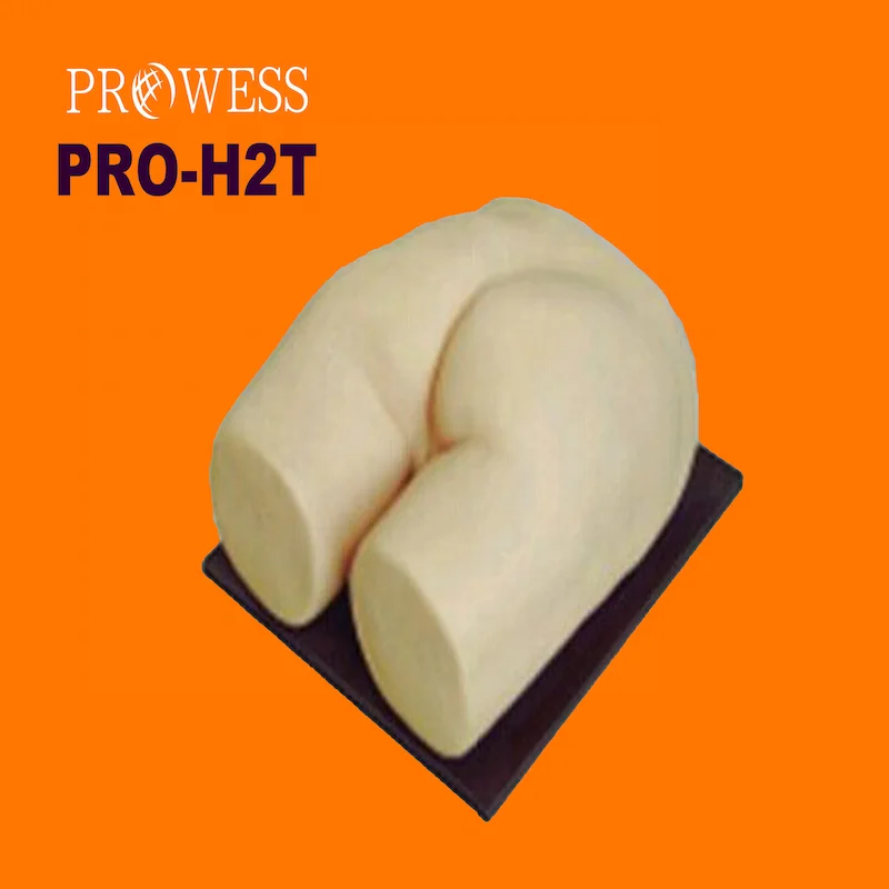 PRO-H2T Nursing Skill Training Silicone hip injection model/ Buttocks Injection Training Simulator mould for sale