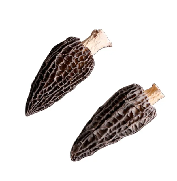 wholesale morel mushrooms 4-6cm Delicious edible raw dried morel mushrooms for sale