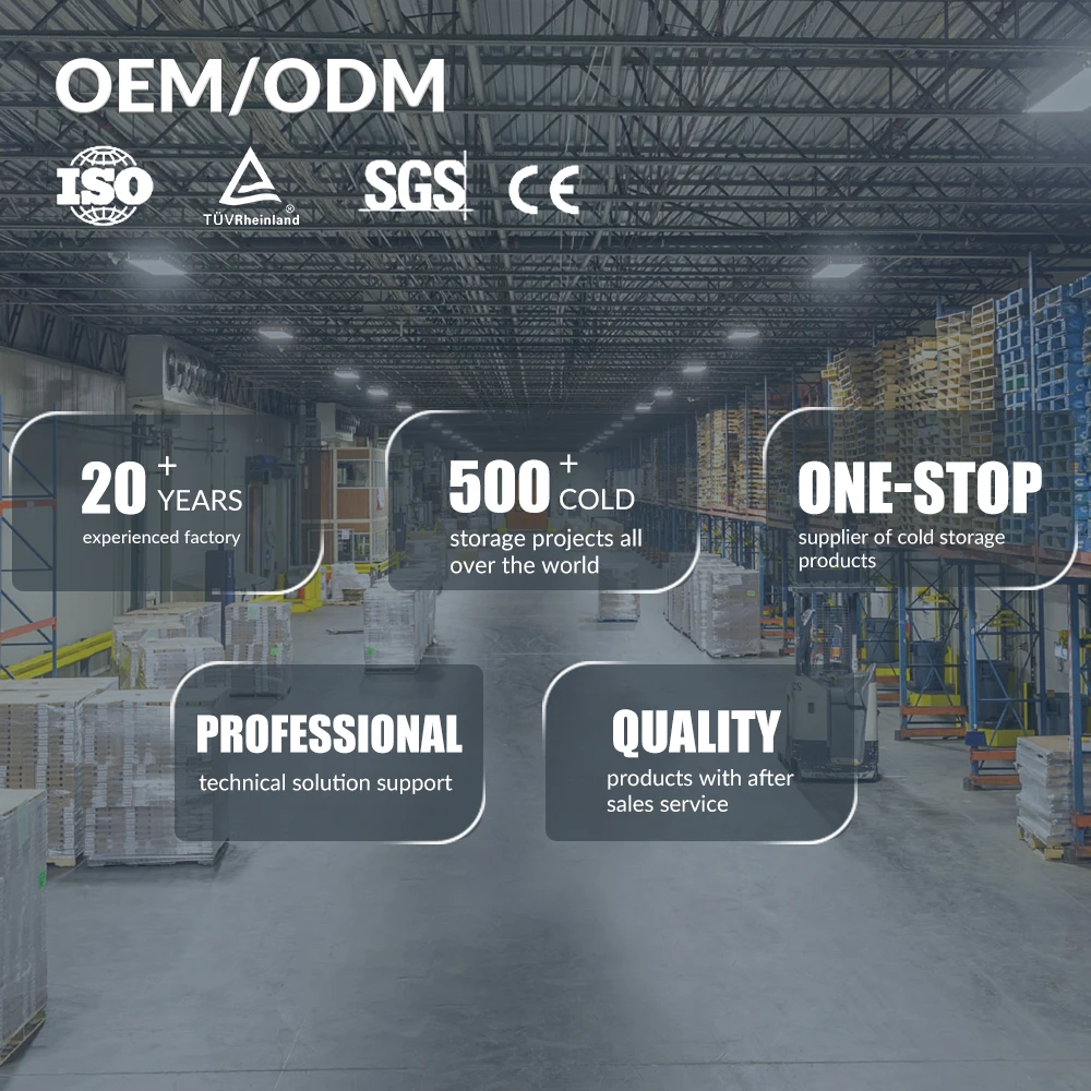 China New Star 5000t support refrigerator cold storage room commercial controlled atmosphere south africa