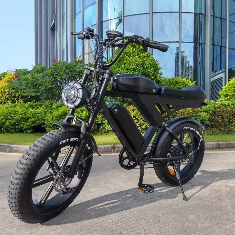 Long Range Fat Tire Hidden Dual Batteries Electric Mountain Bike Bicycle 1000w 48v 15ah Ebike China Manufacturer