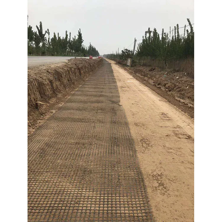 High Strength Plastic Geogrid Manufacturer Steel Plastic Geogrid