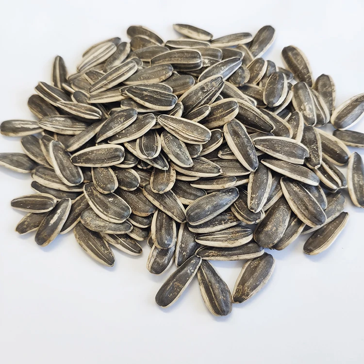 Crop sunflower seed 5009 market price for sale with export sunflower seeds