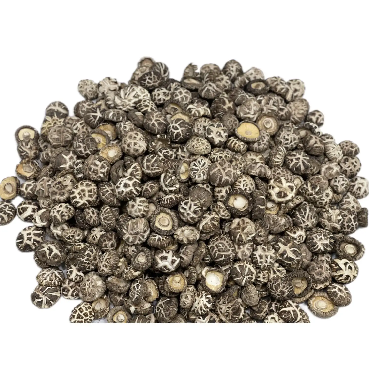 Factory Direct Customized Sizes Whole Raw Processed Dried Shiitake Flower Mushroom for Plant Eating Direct from the Source