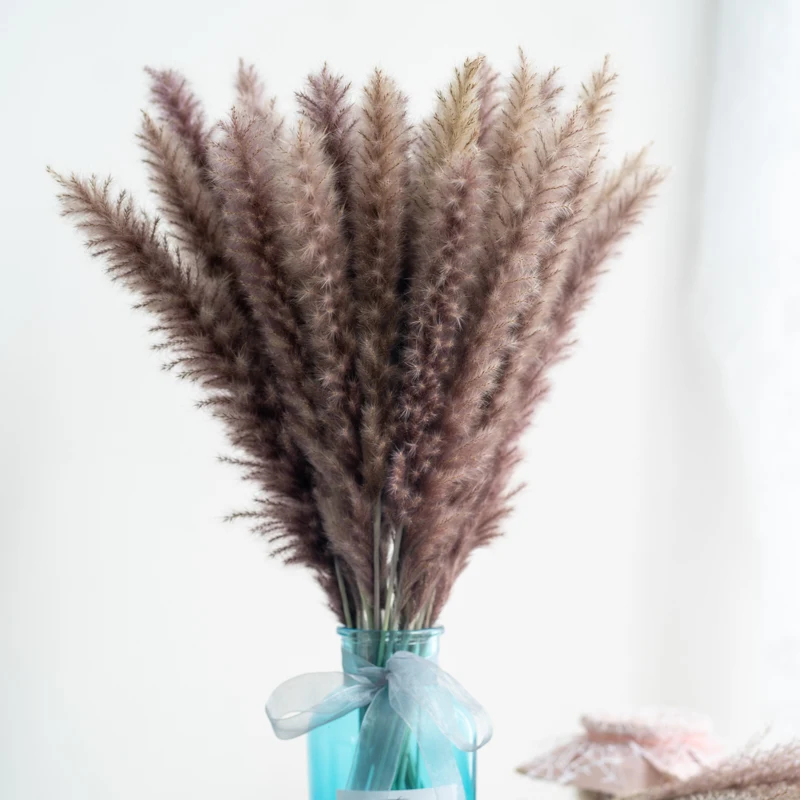 
Natural Dried Pampas Grass Long Lasting Preserved Flower Dried Reed Grass 