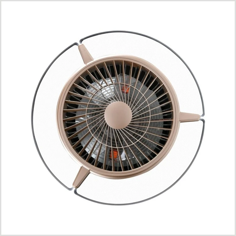 ceiling  fan  with  light