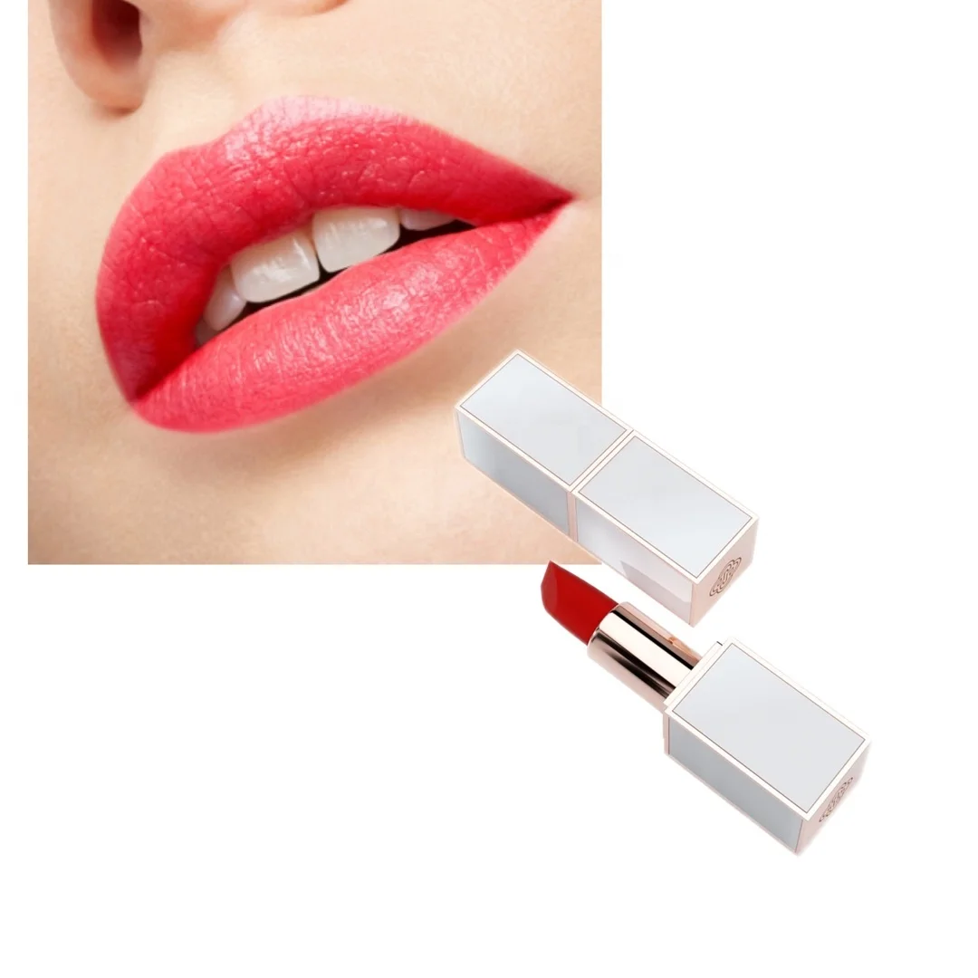 lakme Makeup vendor high quality oem matte lipstick private label lipstick