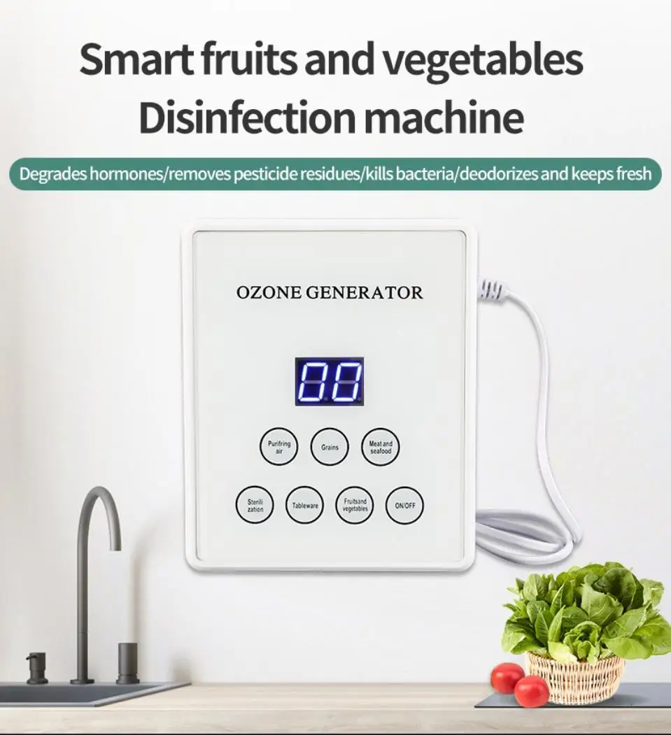Fruit And Vegetable Washing Machine Home Kitchen Ozone Generator For Odor Elimination With 400mg/h Ozonator   110v/220v