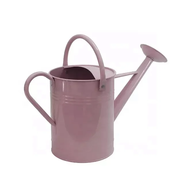 Wholesale 6L galvanized watering can garden watering pot