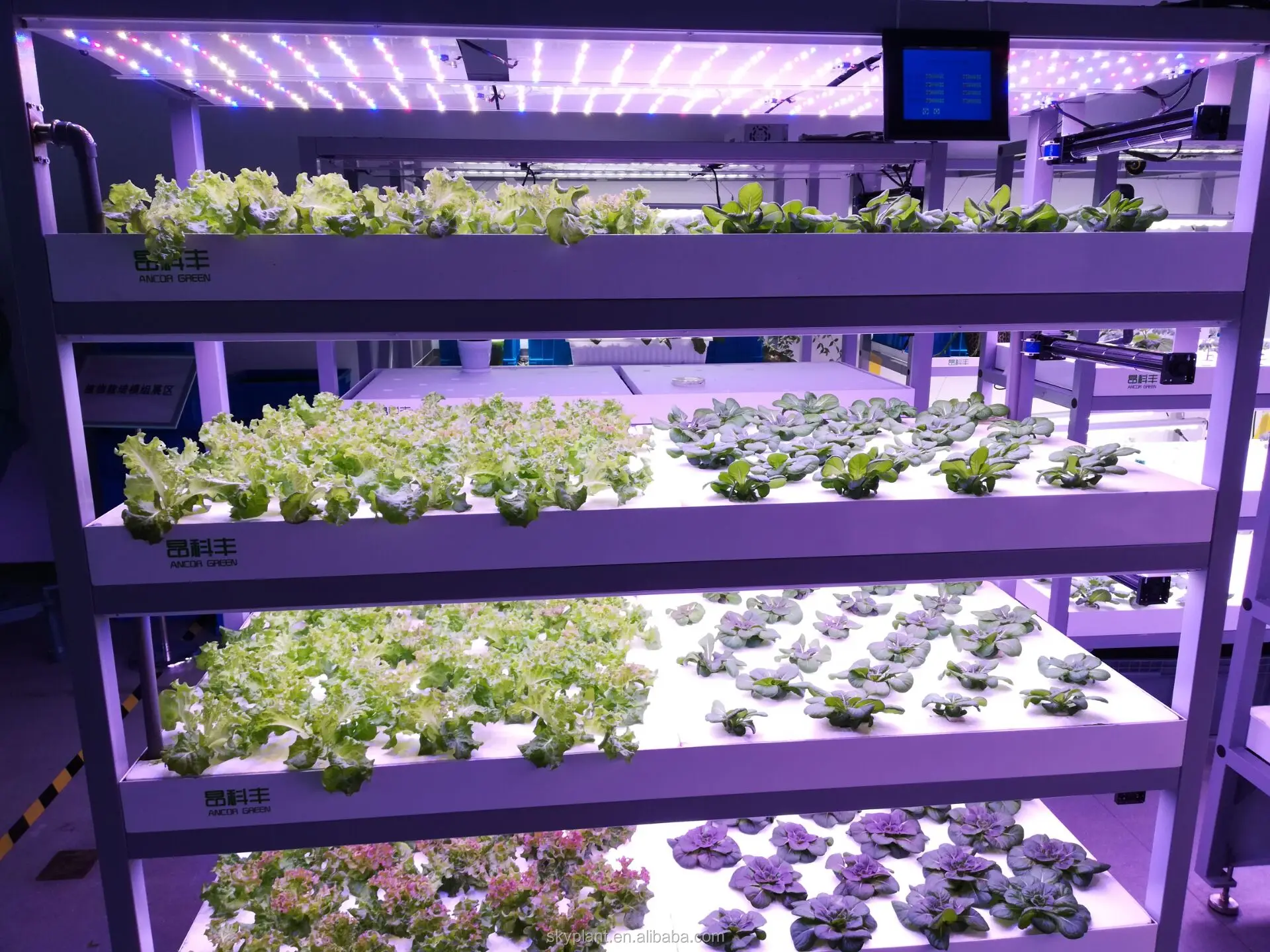 Skyplant 40HQ Freezer shipping container Farm Hydroponic Fodder Growing System Container Type Farming Use