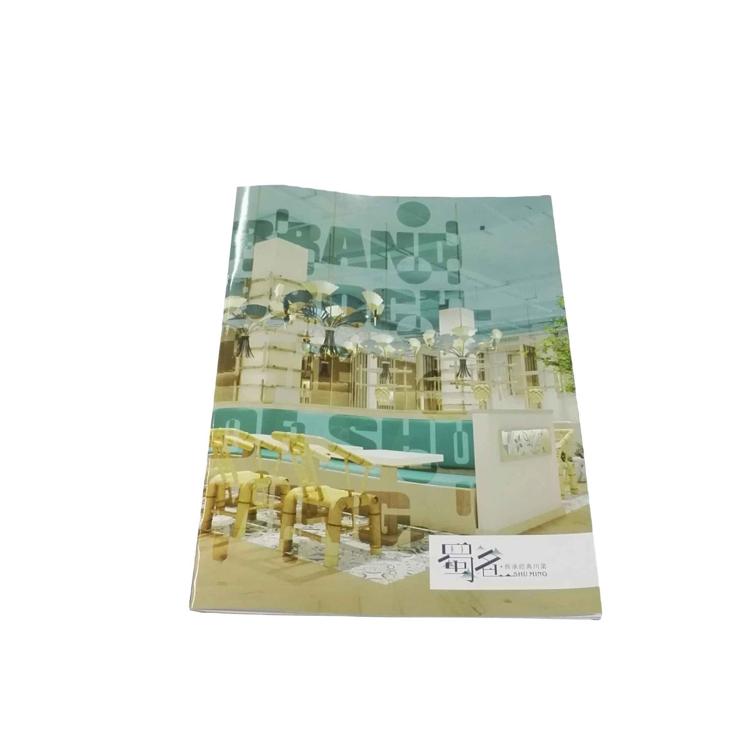 Factory hot sale Accept Customized Logo Art Paper Saddle stitched customized booklet catalog colour brochure printing