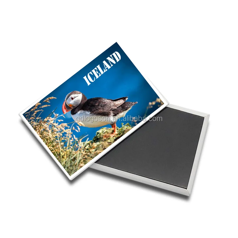Cheap Souvenir Clever Iceland Puffin Printing Tinplate Iceland Fridge Magnet