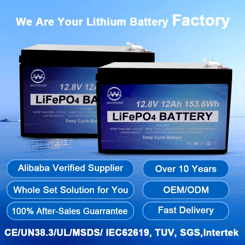12ah литий-железо-фосфатный аккумулятор можно настроить 12v 24v стабильный Аккумулятор для хранения напряжения