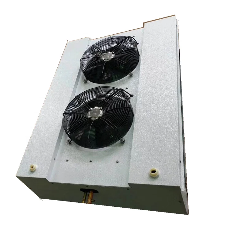 Movable Combined 20ft 40ft Reefer Container Cold Room for Storage