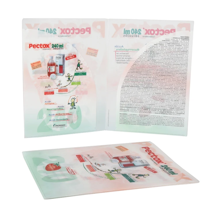 Office Stationery Paper File Document Folder A4 PP Plastic Two Pocket Customize File Folder