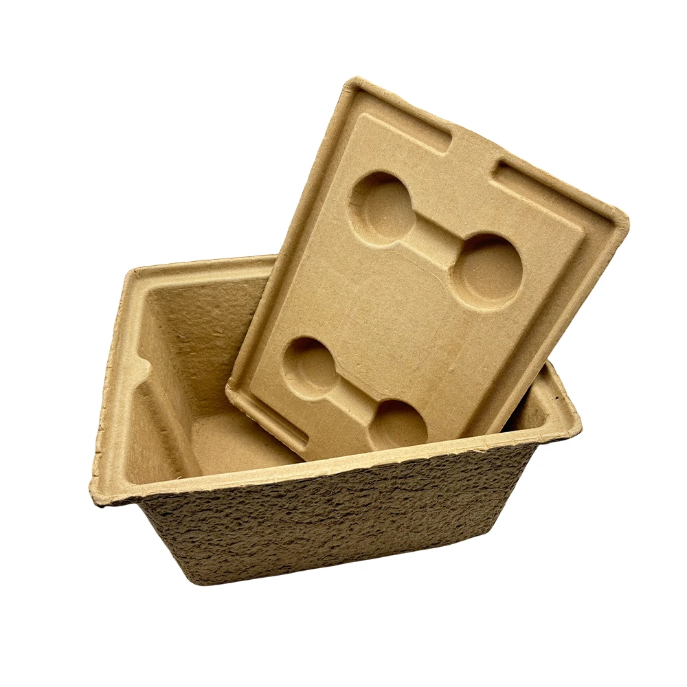 Wholesale Biodegradable Molded Paper Pulp Storage Box Picnic Packaging Boxes with Lid`