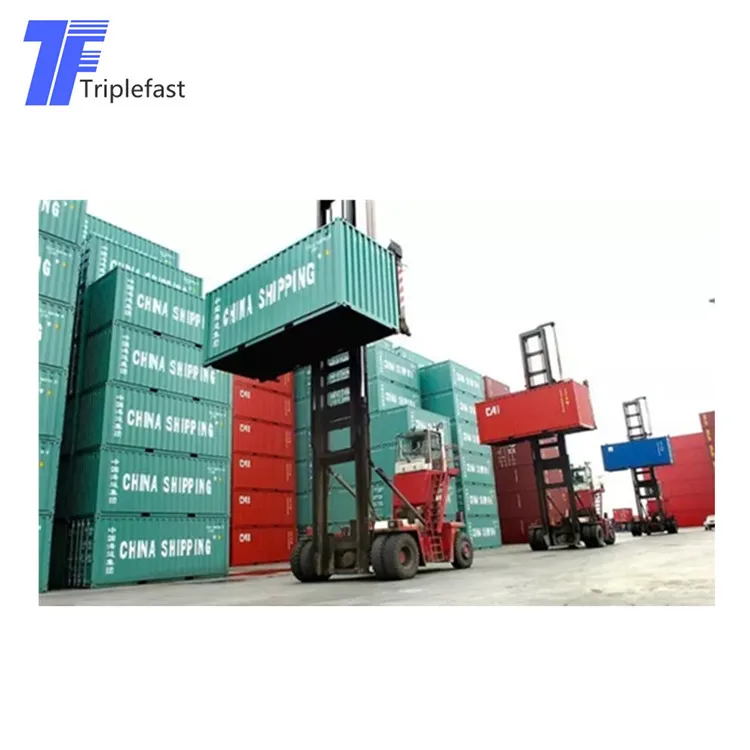Cheap Ocean/Sea Forwarder Freight Shipping China to Africa Asia Europe to port to door Freight forwarder.