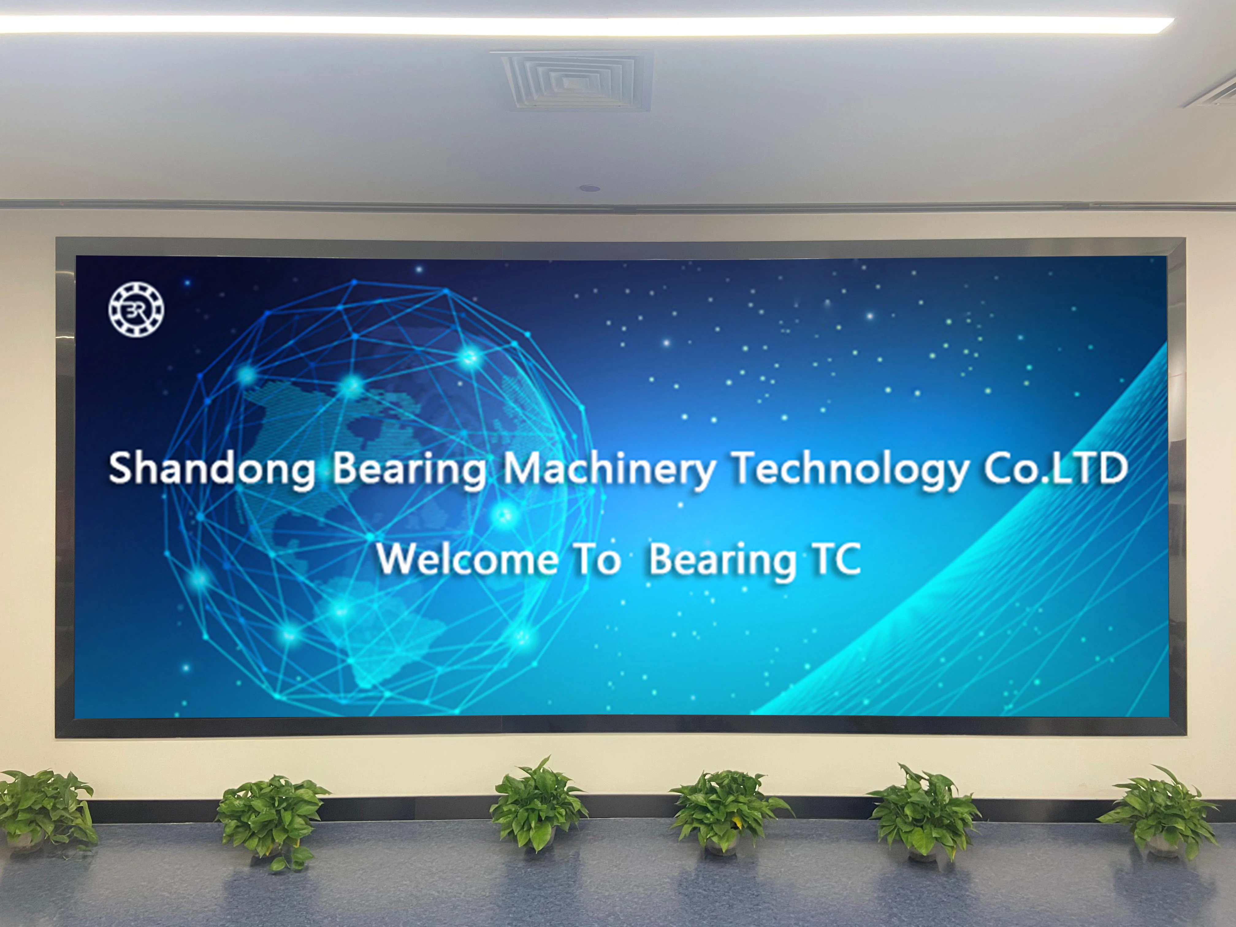 Factory Wholesale Price 6001 2RS ZZ  Deep Groove Ball Bearings With Size 12x28x8m