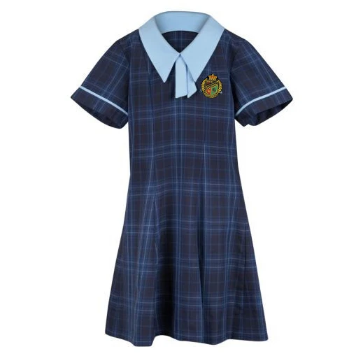 Free Custom Design Brand Girls Dress School Uniform For Girls Primary School Student Uniform Kids
