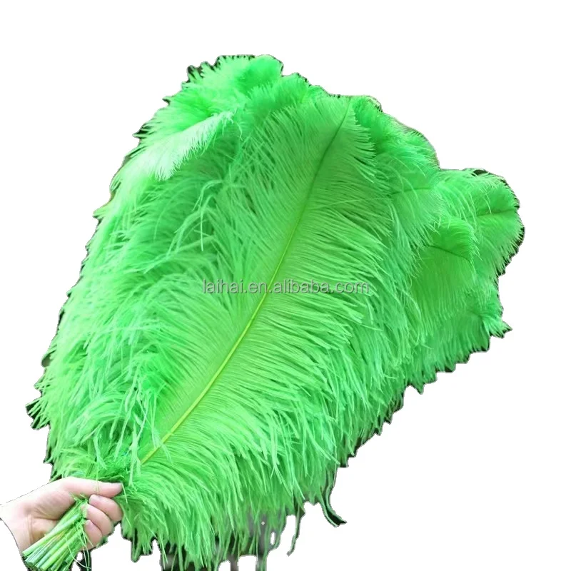 Оптовая продажа модные красочные лимовые зеленые страусиные перья Длинные светло-голубые материал