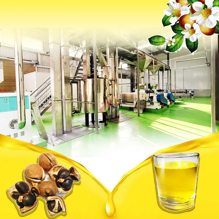 10ton 20 ton Tea seed oil press and refinery production line tea tree oil extraction machine