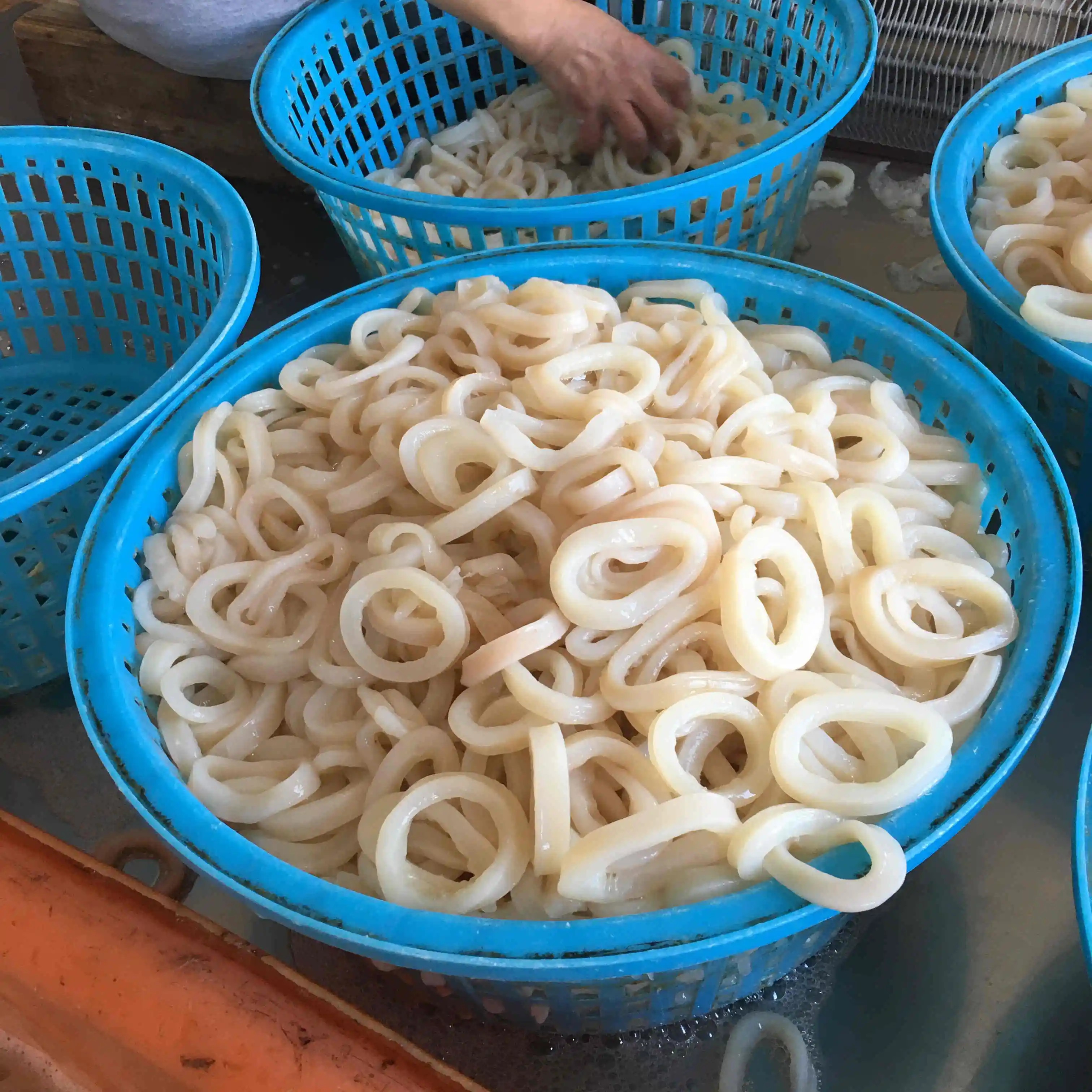 Frozen boiled indian ocean squid  ring with yellow spot off