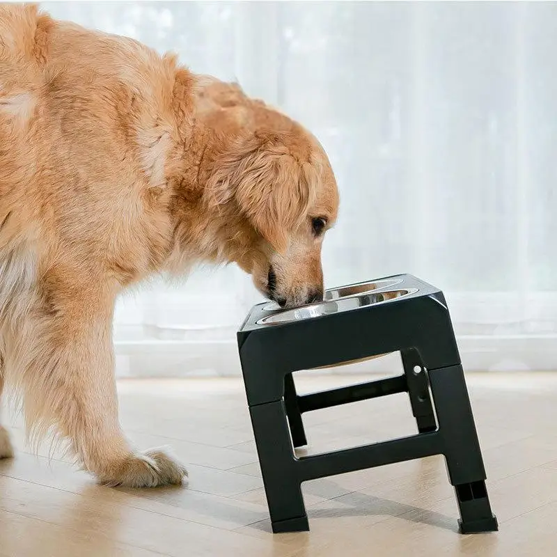 Adjustable Black Stainless Steel Dog Double Bowls No Spill Pet Feeding & Water Bowl Feeder Pet Food Storage