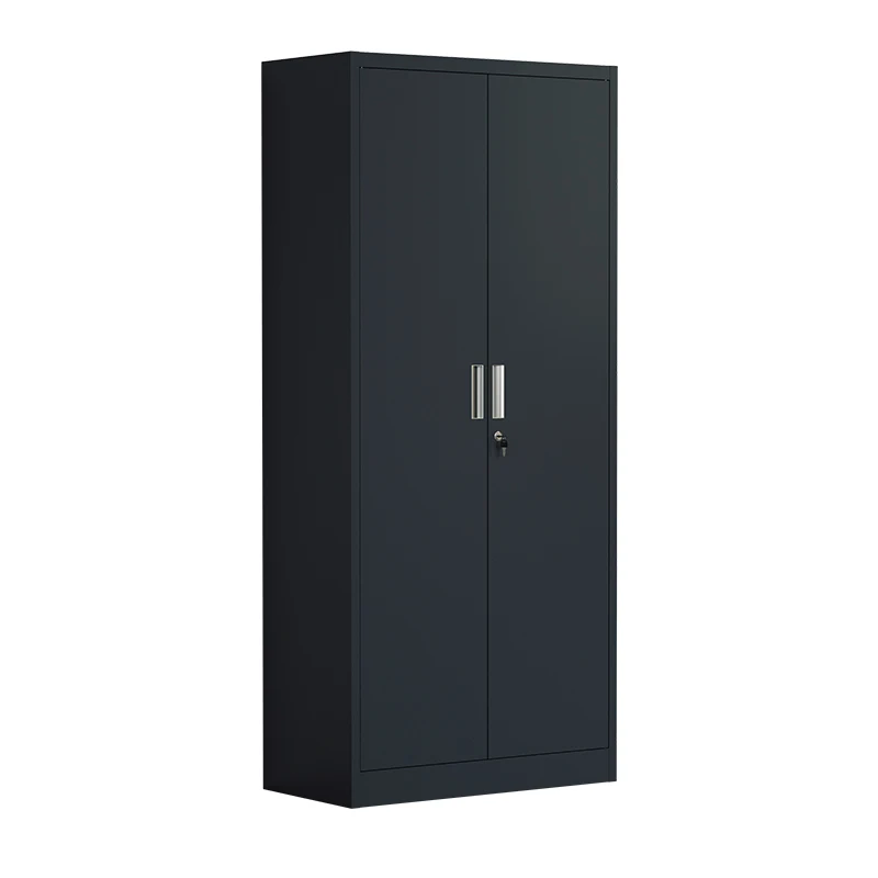 Design 2 door Filling Cabinet Metal Cabinet files Storage Steel Office Cupboard for garage kitchen school