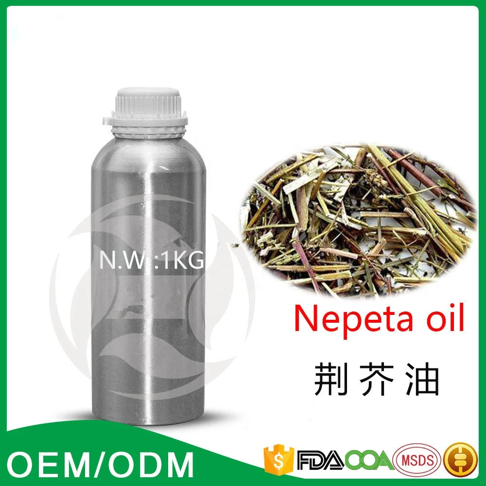 Nepeta Oil Pure Natural Plant Extract Essential Oils Pharmaceutical Raw Material Catnip Essential Oil