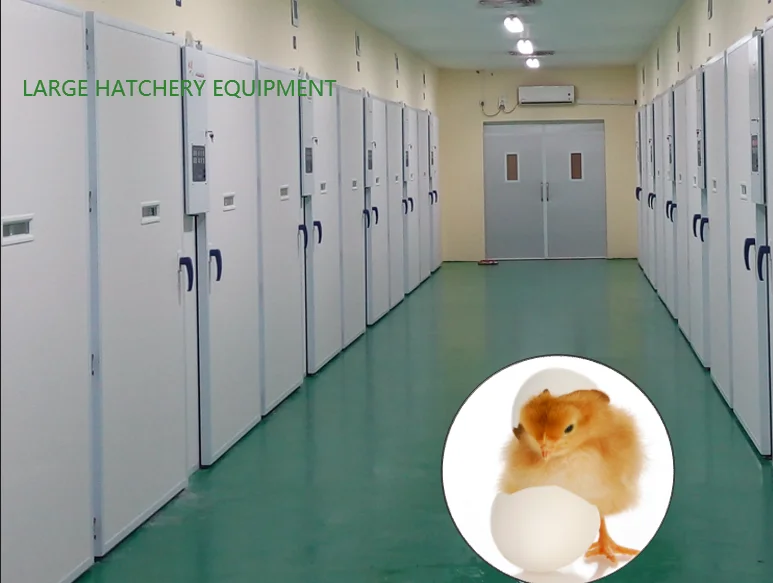 19200 Pcs Eggs Full Automatic Hatchery Setter Incubators Poultry Farming Solar Energy Hatchery Machine For Duck Chicken Goose