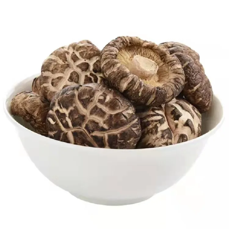 High Quality Dried Shitake Mushroom Organic Dried Food