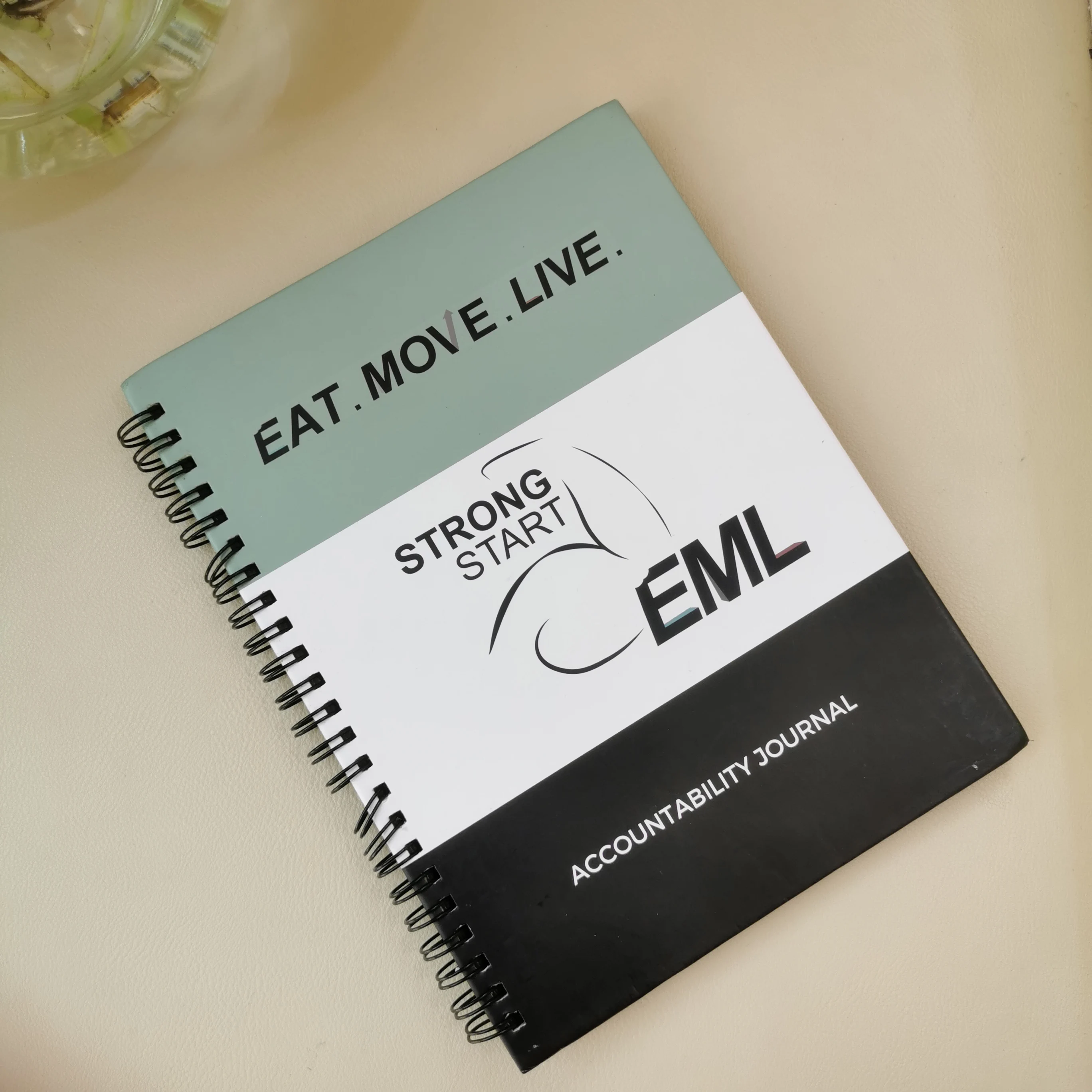 Free Sample Small MOQ Spiral Bound A4 A5 Notebooks Custom 120g Spiral Ring Notebook With Logo