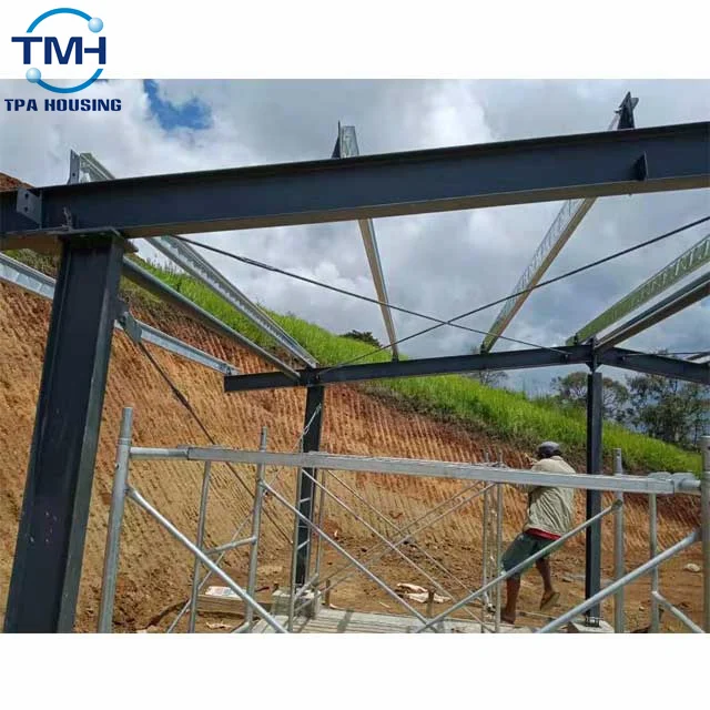 China Factory Poultry Farm Chicken House Broiler House Poultry Farm Steel Structure Farm Shed