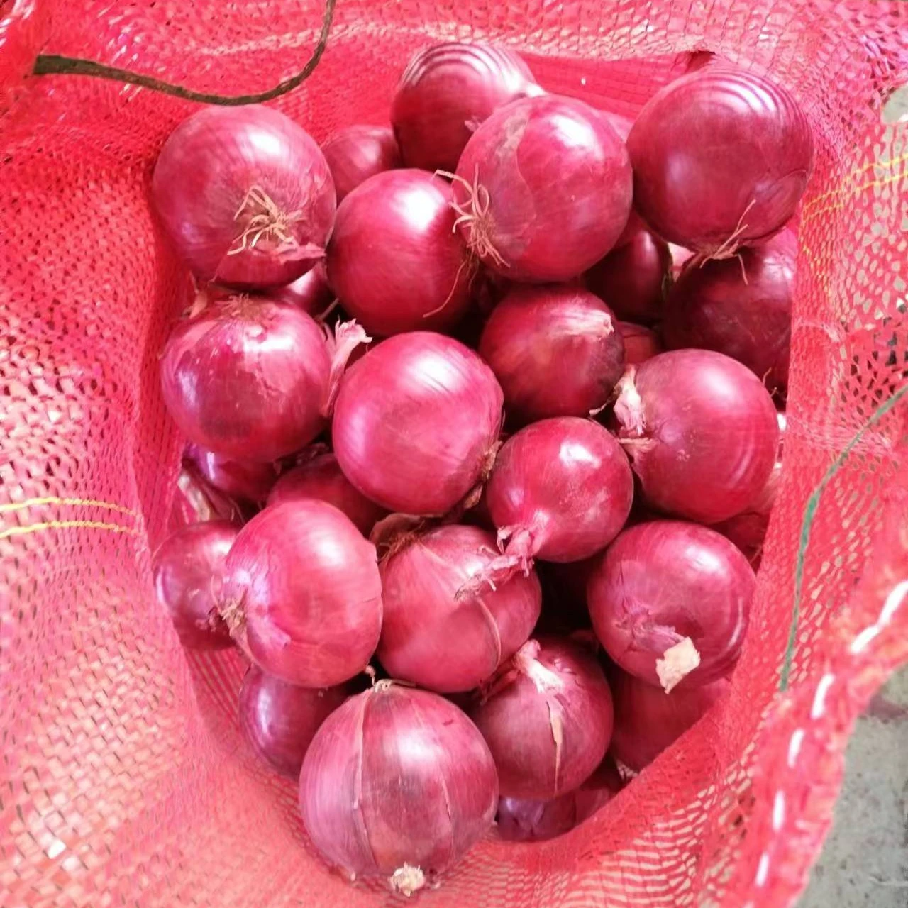 Fresh yellow onions  From China Supplier In  Onions China Import Fresh Onions For Sale