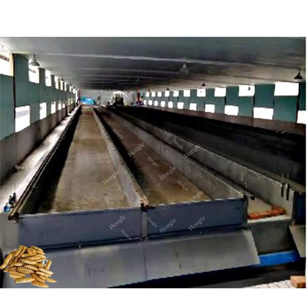 Professional Shredder Waste Food Oil Recycling Machine Larvae Farming Insect Black Soldier Fly Breeding Box